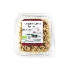 Organic Lentil Sprouts